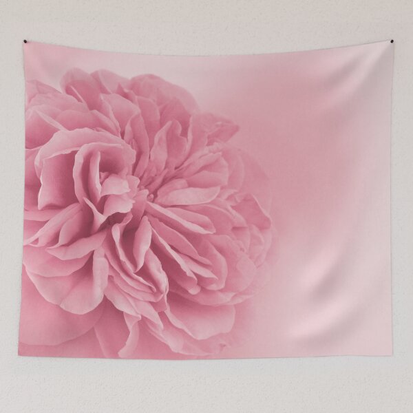 Item preview, Light Pink Rose #1 #floral #art  designed and sold by Anita's & Bella's Art.
