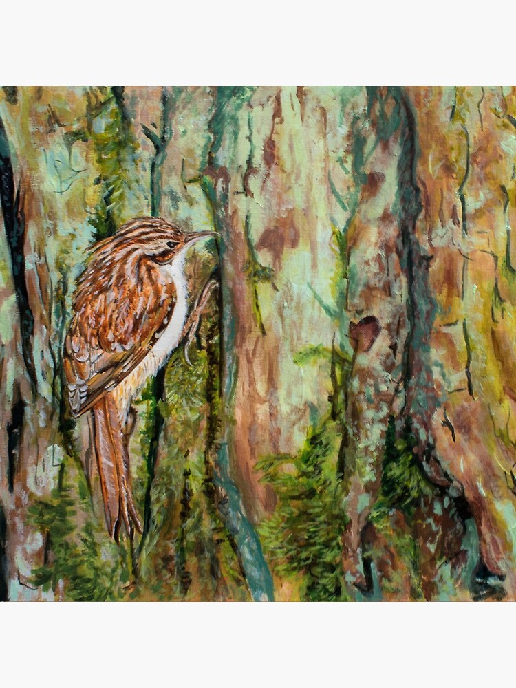 Treecreeper by DawnsArt92