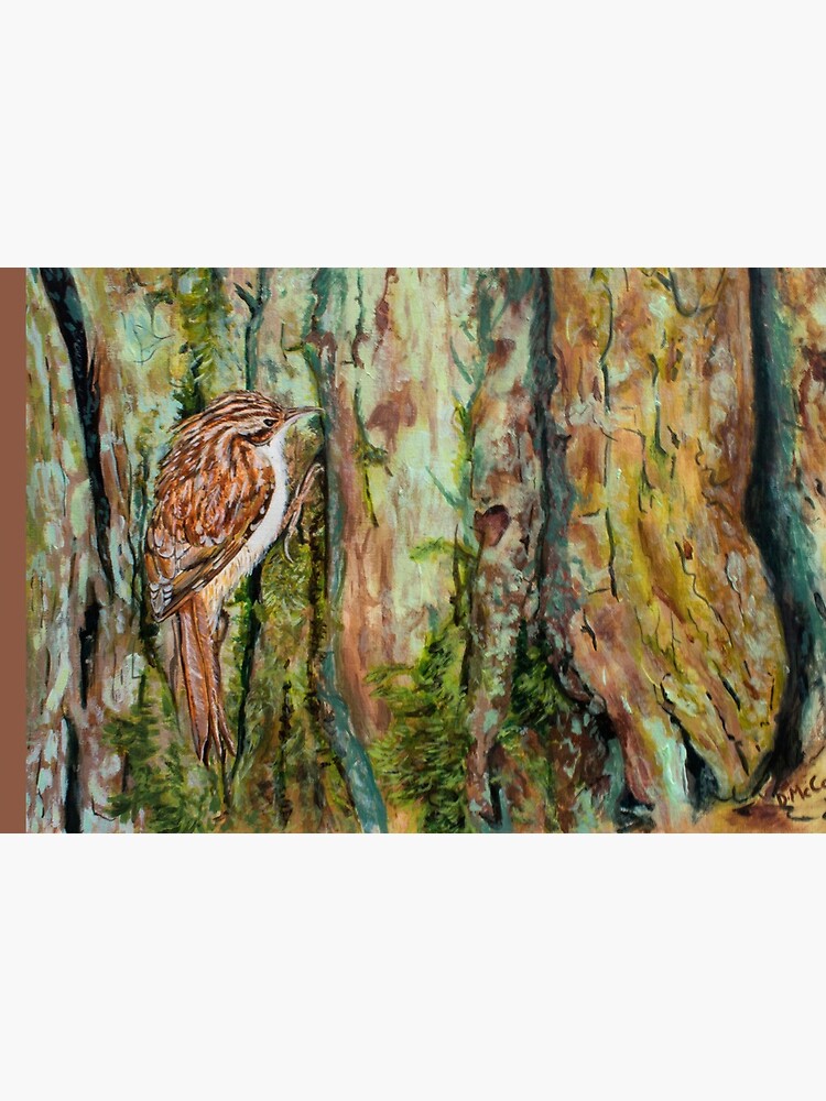 Treecreeper by DawnsArt92