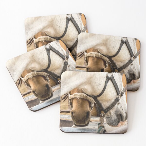 Item preview, Noses designed and sold by Linda Gregory.