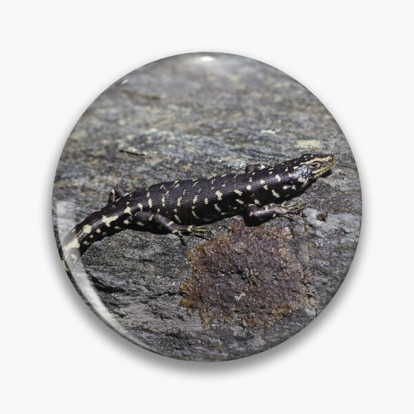 Item preview, Otago Skink designed and sold by Steven Allain.