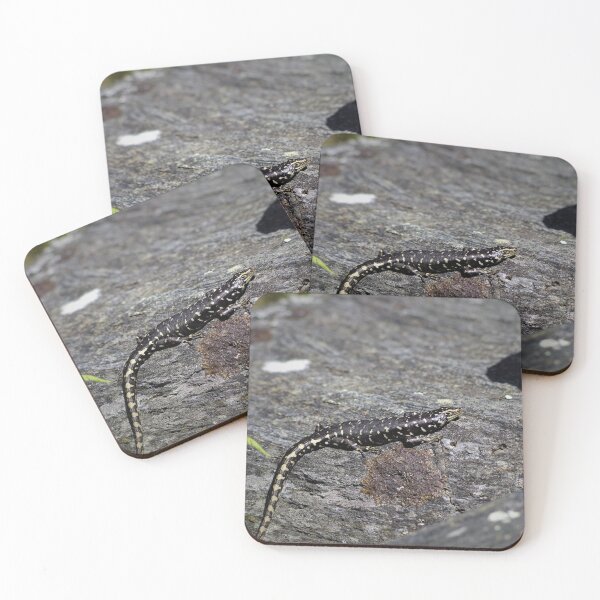 Item preview, Otago Skink designed and sold by Steven Allain.