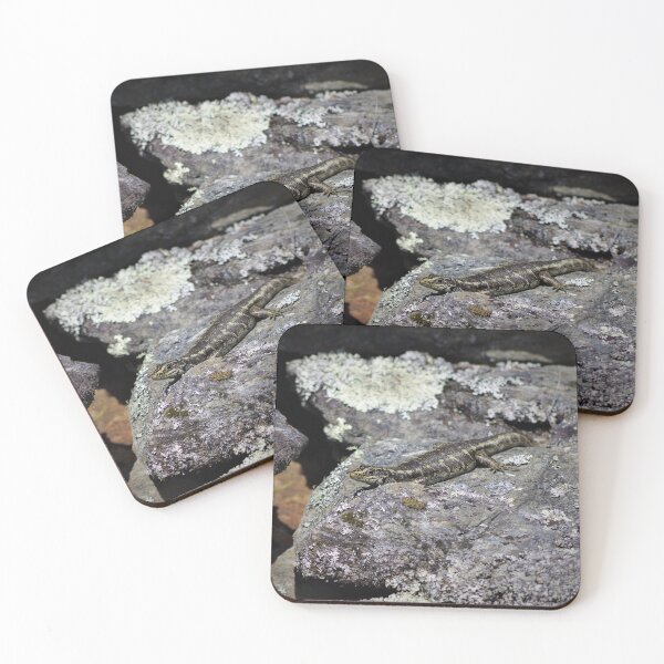 Item preview, Otago Skink designed and sold by Steven Allain.