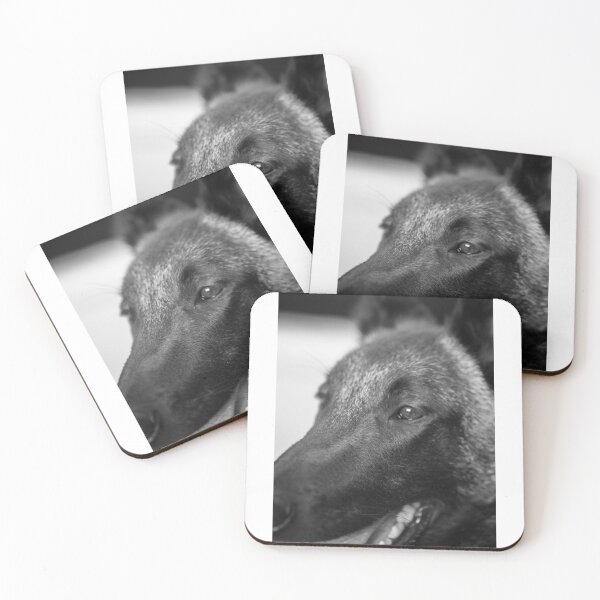 Item preview, Malinois designed and sold by Evazionphoto85.