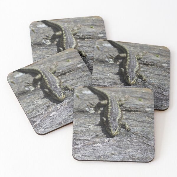 Item preview, Otago Skink designed and sold by Steven Allain.