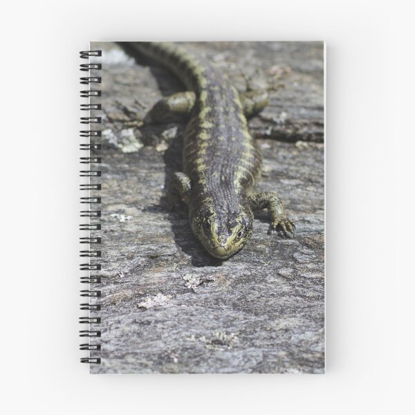 Item preview, Otago Skink designed and sold by Steven Allain.