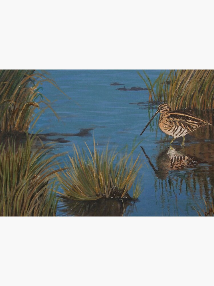 Snipe at Frampton Marsh by DawnsArt92