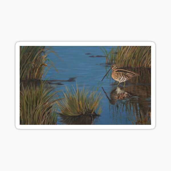 Snipe at Frampton Marsh Sticker