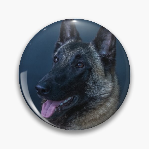 Item preview, Portrait chein malinois designed and sold by Evazionphoto85.