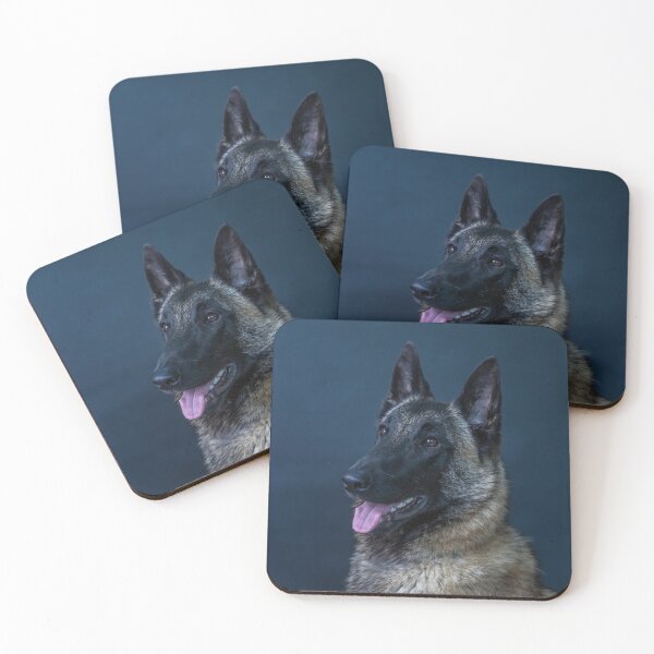 Item preview, Portrait chein malinois designed and sold by Evazionphoto85.