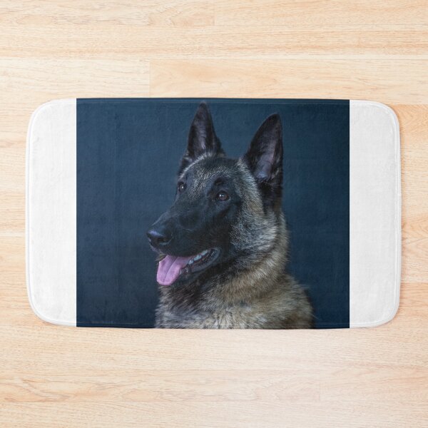 Item preview, Portrait chein malinois designed and sold by Evazionphoto85.