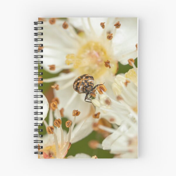 Item preview, Carpet Beetle designed and sold by SorryToBugYou.