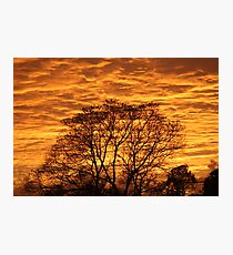 Apocalyptic Dawning Photographic Print