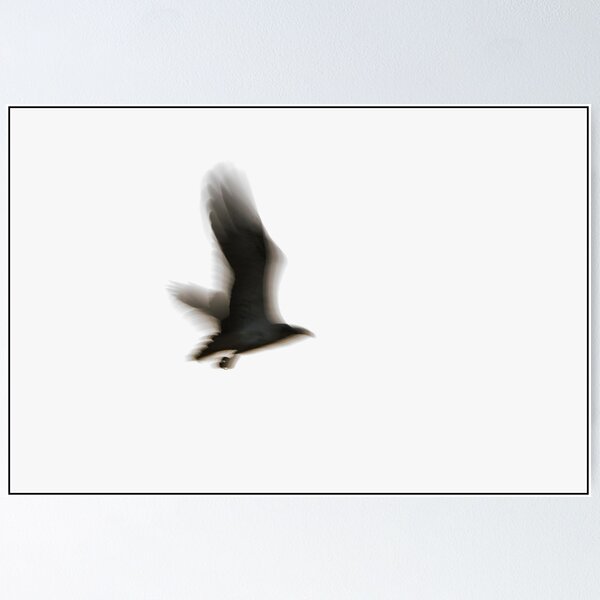 Item preview, Bird in Flight designed and sold by John Van Den Broeke.
