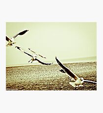 The Wings. Made A Sale - 993887; Got Permanent Featured Page, Featured Work Photographic Print