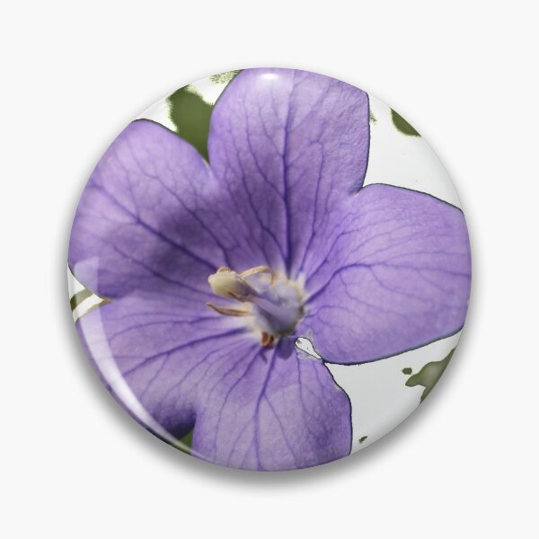 Item preview, Estrella azul designed and sold by bernd49.