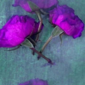 Artwork thumbnail, Purple Roses by Tamarra