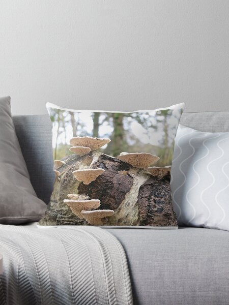 Artikel-Vorschau von Trametes gibbosa., designt und verkauft von John Thurgood.