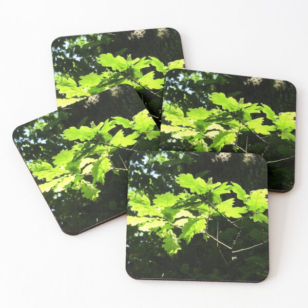 Item preview, Oak leafs in Spring sunshine designed and sold by joshuarainbird.