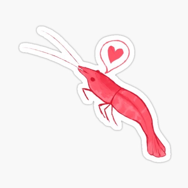 Cherry Shrimp Sticker