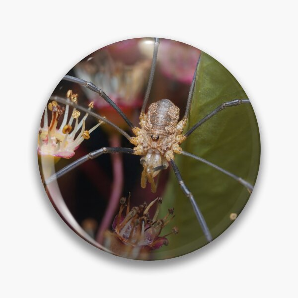 Item preview, Harvestman designed and sold by SorryToBugYou.