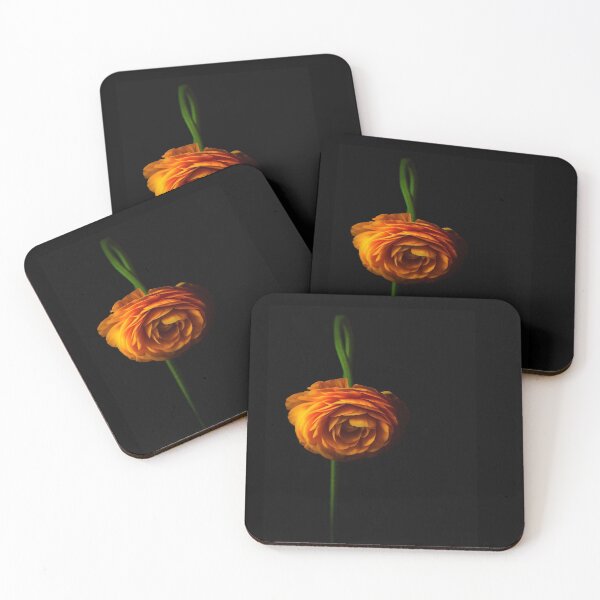 Item preview, Ranunculus designed and sold by alan shapiro.