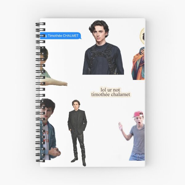 Item preview, Timothee Chalamet set designed and sold by Lia Kolor.