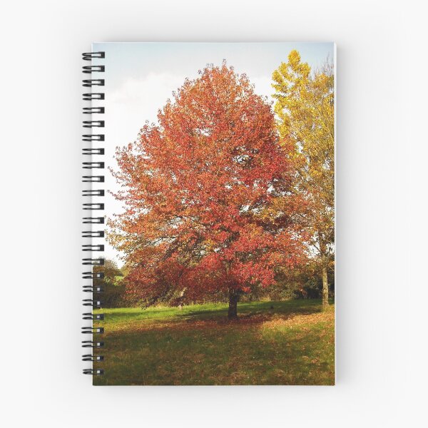 Item preview, An Autumn Colourful Display designed and sold by hootonles.