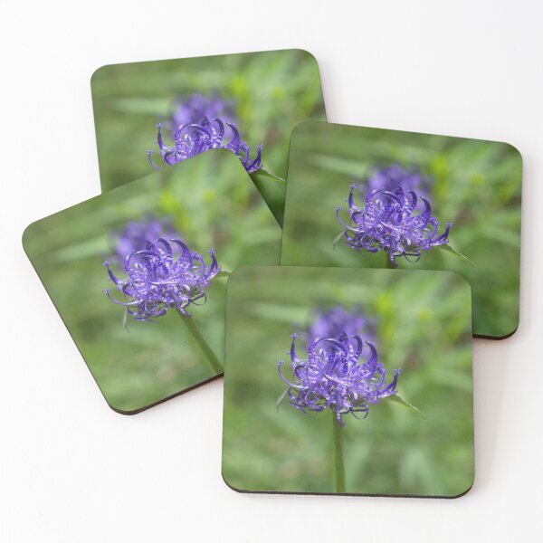 Item preview, Round-Headed Rampion (Phyteuma Orbiculare) designed and sold by Yair Karelic.