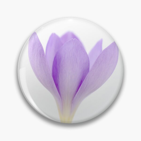 Item preview, Crocus goulimyi   AGM  Autumn flowering crocus designed and sold by Chris Burrows.