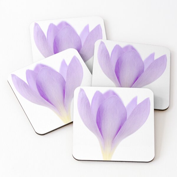 Item preview, Crocus goulimyi   AGM  Autumn flowering crocus designed and sold by Chris Burrows.