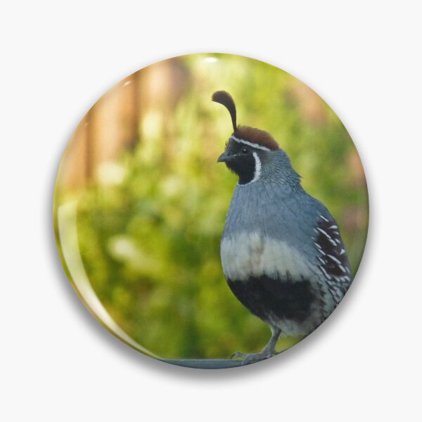 Item preview, Quail on a Rail designed and sold by Linda Gregory.