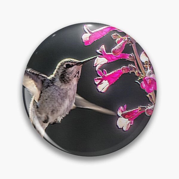 Item preview, Hummingbird on Penstamon designed and sold by Linda Gregory.