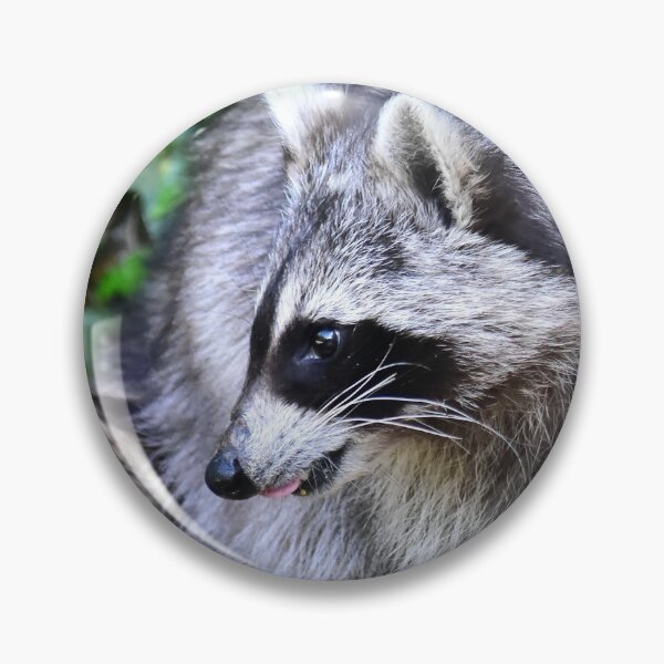 Item preview, racoon designed and sold by Glineur.