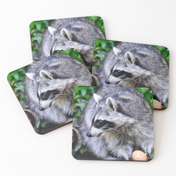 Item preview, racoon designed and sold by Glineur.