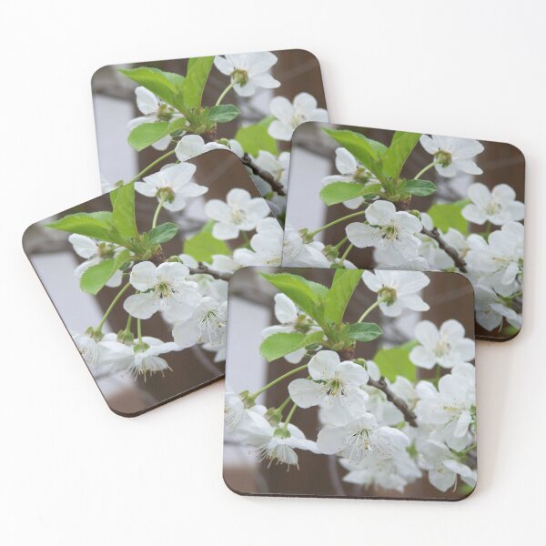 Item preview, Cherry blossom in spring designed and sold by Boscastle.