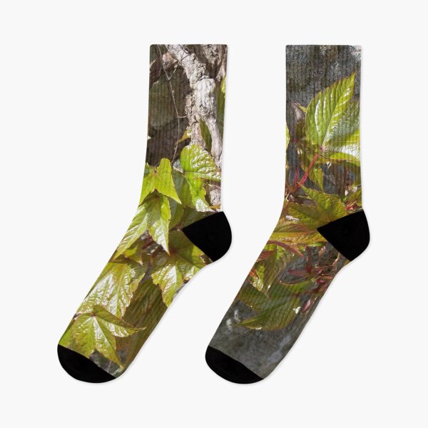Item preview, Wild wine in spring designed and sold by Boscastle.