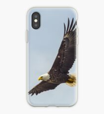 Alaskan Bald Eagle -1 iPhone Case