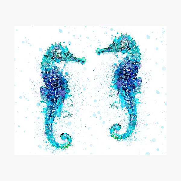 Blue Watercolor Seahorse Photographic Print
