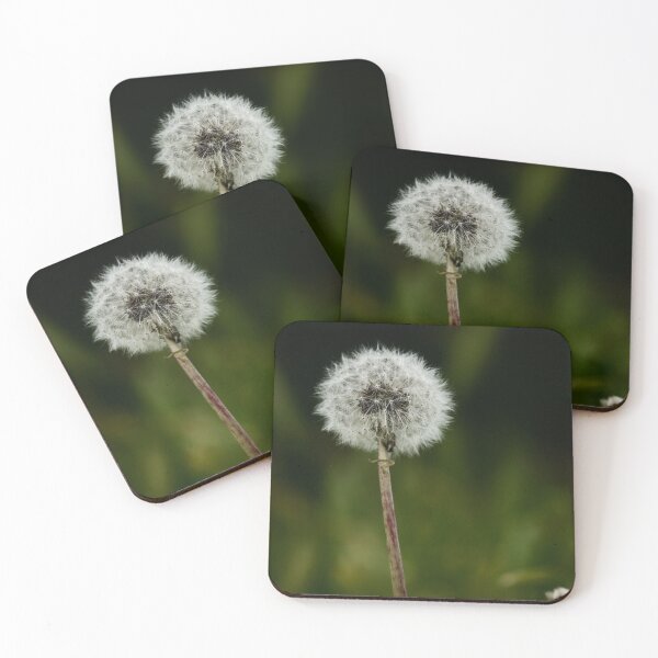 Item preview, Dandelion designed and sold by Simão Arinto - In a Poet's Arid Room.