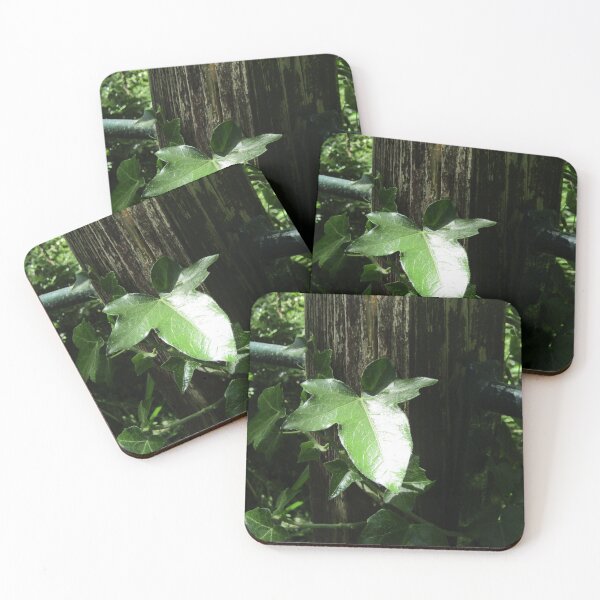 Item preview, Ivy leaf. designed and sold by joshuarainbird.