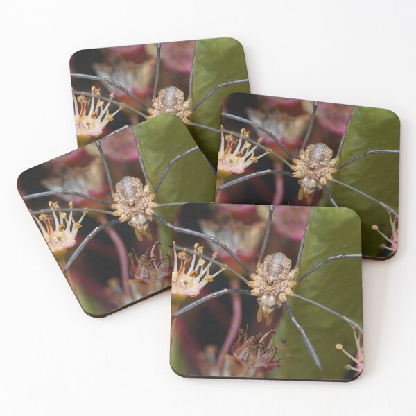 Item preview, Harvestman designed and sold by SorryToBugYou.