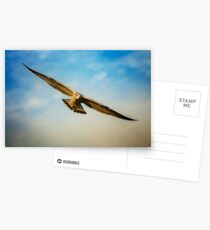 Span Postcards