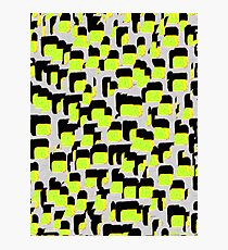 Screen Photographic Print