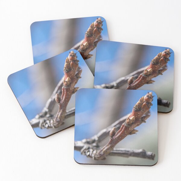 Item preview, Tree bud designed and sold by CanadianWild418.