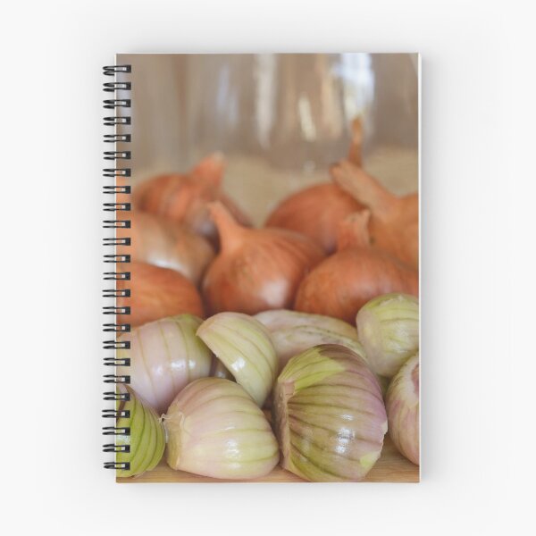 Item preview, Allium cepa (Aggregatum Group)  'Red Sun'  Shallots  designed and sold by Chris Burrows.