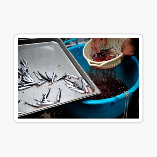 Let's buy the FIsh!!! Sticker