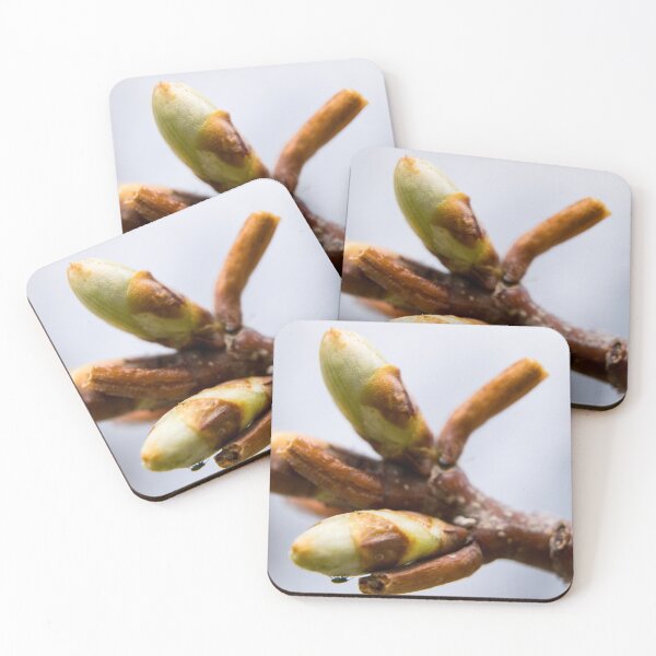 Item preview, Bug on a bud designed and sold by CanadianWild418.
