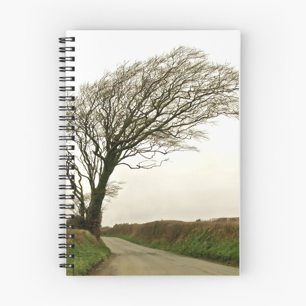 Item preview, Windblown designed and sold by Martin Harradine.