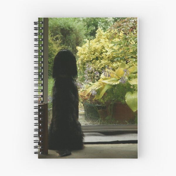 Item preview, Rainy day designed and sold by Martin Harradine.